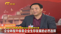 2017廣西兩會-林海明代表：企業(yè)轉型升級是企業(yè)生存發(fā)展的必然選擇